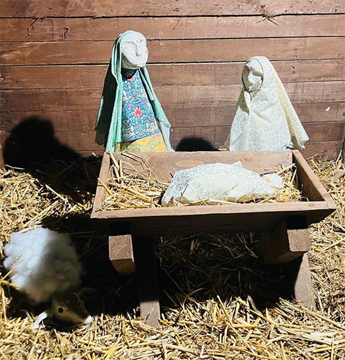 Issue 48 – February 2026