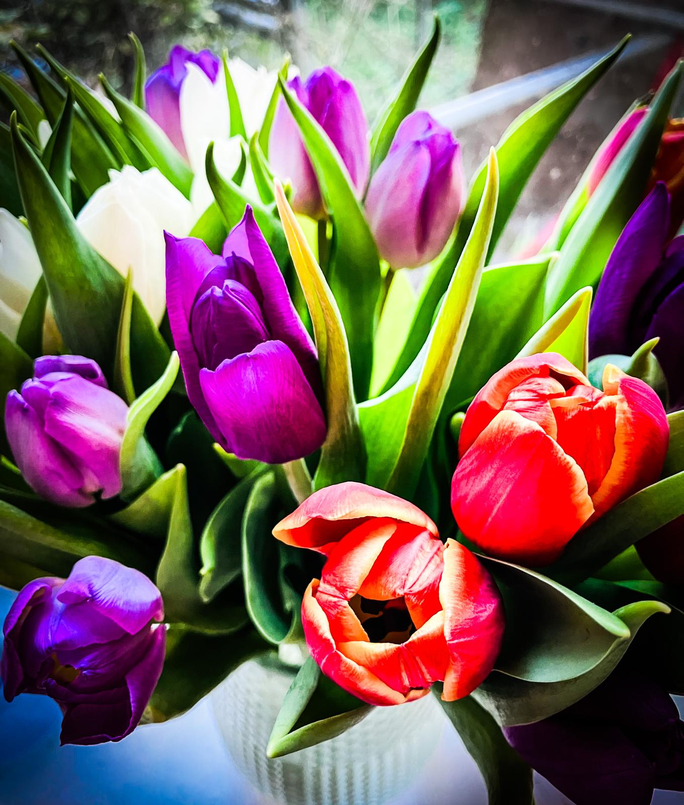 Issue 50 – April 2026