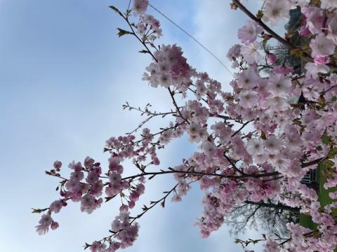 May Newsletter 2023