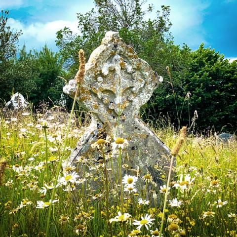 Issue 43: July–August 2025