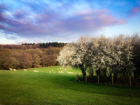 Issue 49 – March 2026