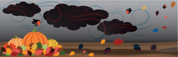 Issue 46 – November 2025