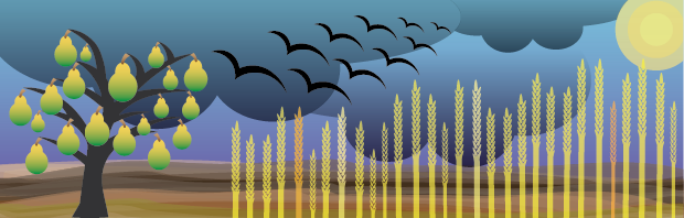 Issue 54 – September 2026 – Banner Image
