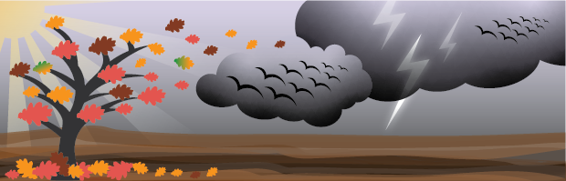 Issue 55 – October 2026